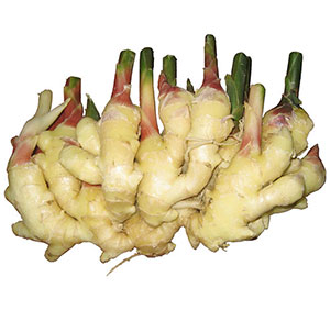 風(fēng)干姜